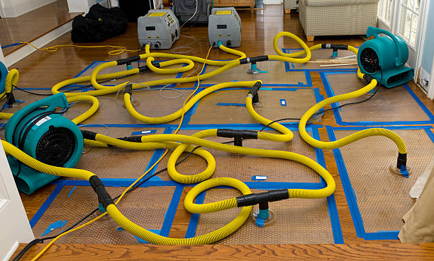 Professional Storm Water Damage Restoration technician working in Cambridge, NE